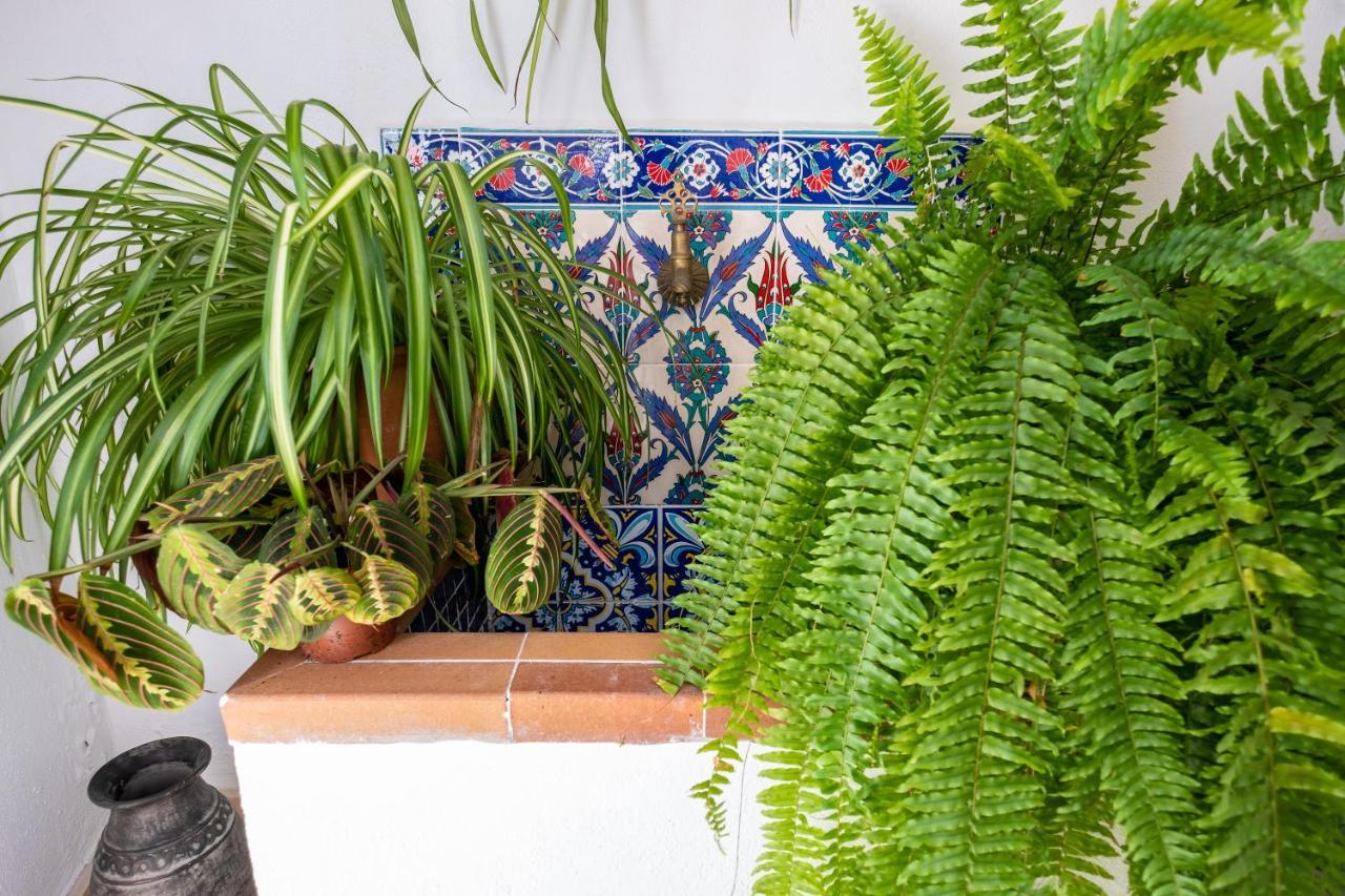 La Casa Del Agua Villa Vejer de la Frontera Dış mekan fotoğraf